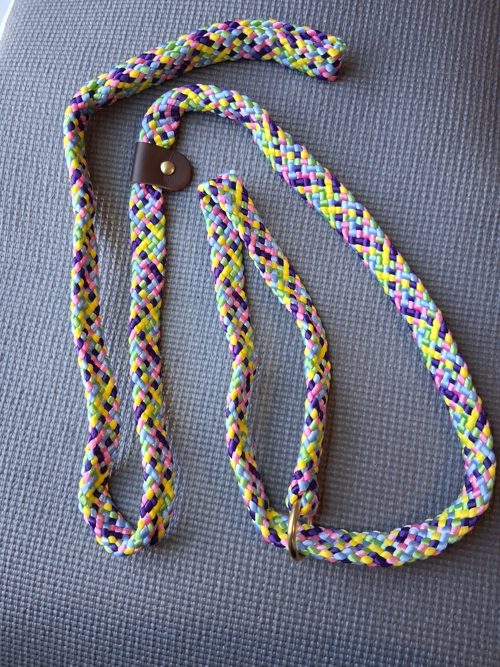 Braided Multicolor Rope Dog Leash - Neon Mix